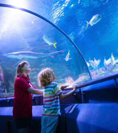 visitors at an aquarium